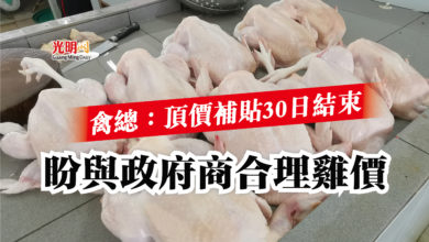 Photo of 禽總:頂價補貼30日結束 盼與政府商合理雞價