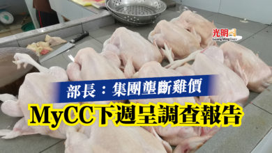 Photo of 部長：集團壟斷雞價  MyCC下週呈調查報告