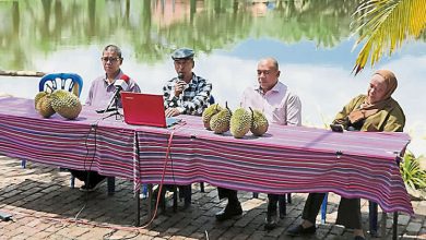 Photo of 任吃到飽 節目精彩沙坎2日起榴槤嘉年華