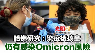 Photo of 哈佛研究 : 染疫後孩童 仍有感染Omicron風險