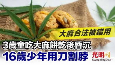 Photo of 大麻合法被錯用 3歲童吃大麻餅乾後昏沉 16歲少年用刀割脖