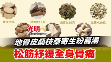 Photo of 地骨皮桑枝桑寄生粉葛湯 松筋紓緩全身骨痛