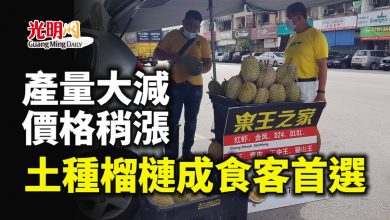 Photo of 產量大減 價格稍漲 土種榴槤成食客首選