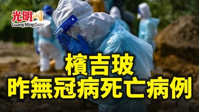 Photo of 檳吉玻無冠病死亡病例