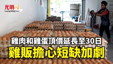 Photo of 雞肉和雞蛋頂價延長至30日 雞販擔心短缺加劇