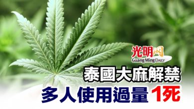 Photo of 泰國大麻解禁 多人使用過量 1死