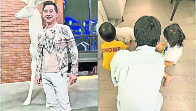 Photo of 小哈利回台灣 庾澄慶曬寵弟妹合照