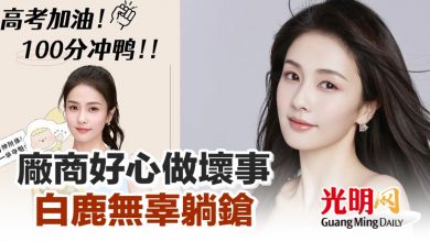 Photo of 廠商好心做壞事 白鹿無辜躺鎗