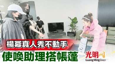 Photo of 楊冪真人秀不動手 使喚助理搭帳蓬