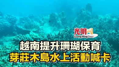 Photo of 越南提升珊瑚保育 芽莊木島水上活動喊卡