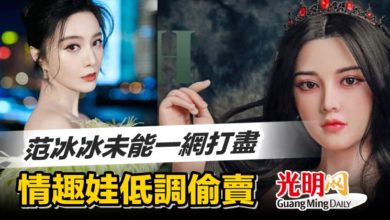 Photo of 范冰冰未能一網打盡 情趣娃低調偷賣