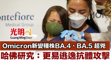 Photo of Omicron新變種株BA.4、BA.5 超兇 哈佛研究：更易逃逸抗體攻擊