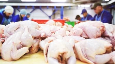 Photo of MYCC正評估調查報告  查證雞肉供應是否壟斷