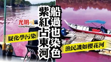 Photo of 雪占東河被污染成紫紅色  漁民譏如日本櫻花河