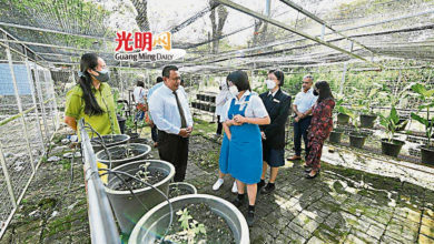 Photo of 5千元現金獎勵 綠色學校獎月杪截止