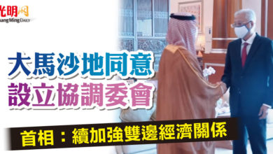 Photo of 大馬沙地同意設立協調委會  首相：續加強雙邊經濟關係