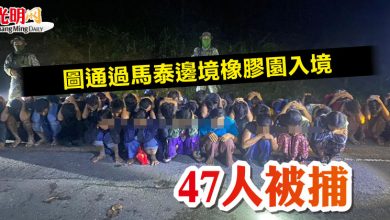 Photo of 圖通過馬泰邊境橡膠園入境   47人被捕