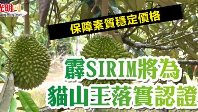 Photo of 保障素質穩定價格 霹SIRIM將為貓山王落實認證