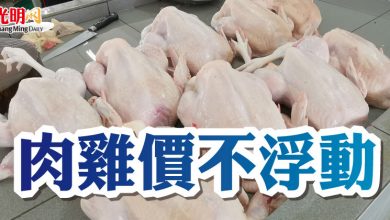 Photo of 肉雞價不浮動  首相：新價格由農長宣佈