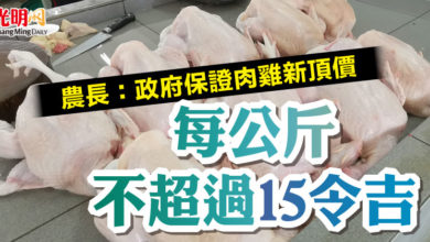 Photo of 農長：政府保證肉雞新頂價   每公斤不超過15令吉