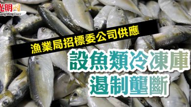 Photo of 漁業局招標委公司供應 設魚類冷凍庫遏制壟斷
