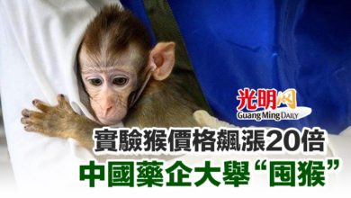 Photo of 實驗猴價格飆漲20倍 中國藥企大舉“囤猴”
