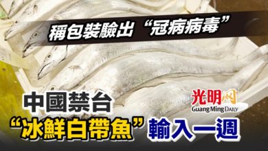 Photo of 稱包裝驗出“冠病病毒” 中國禁台“冰鮮白帶魚”輸入一週