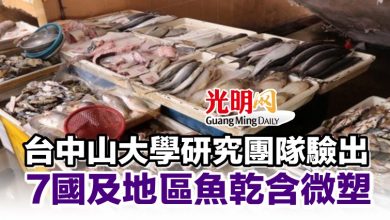 Photo of 台中山大學研究團隊驗出 7國及地區魚乾含微塑膠