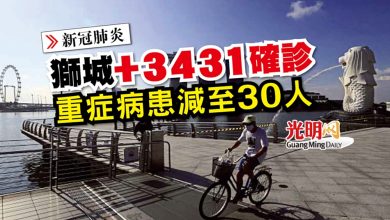 Photo of 【新冠肺炎】獅城+3431確診 重症病患減至30人