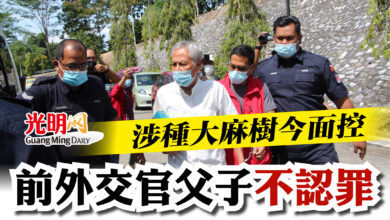 Photo of 涉種大麻樹今面控   前外交官父子不認罪