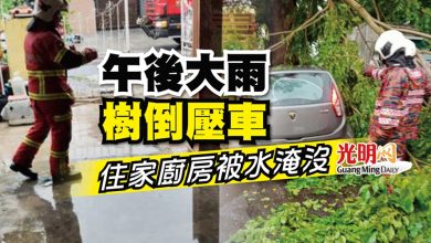 Photo of 午後大雨樹倒壓車 住家廚房被水淹沒