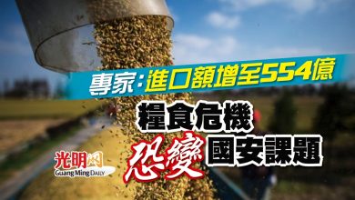 Photo of 專家：進口額增至554億 糧食危機恐變國安課題