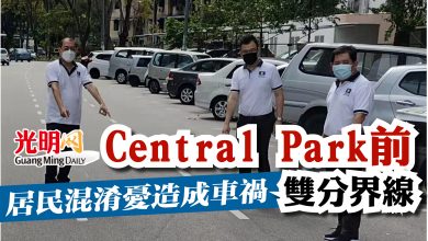 Photo of Central Park前雙分界線  居民混淆憂造成車禍