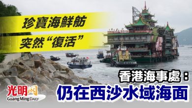 Photo of 珍寶海鮮舫突然“復活” 香港海事處：仍在西沙水域海面
