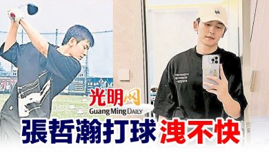 Photo of 張哲瀚打球洩不快
