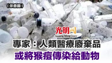 Photo of 專家：人類醫療廢棄品 或將猴痘傳染給動物
