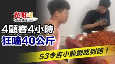 Photo of 53令吉小龍蝦吃到飽！ 4顧客4小時狂嗑40公斤