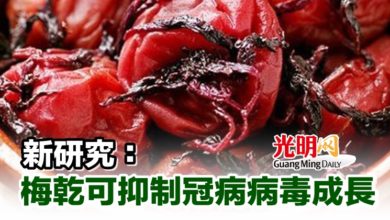Photo of 新研究：梅乾可抑制冠病病毒成長