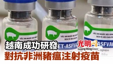 Photo of 越南成功研發對抗非洲豬瘟注射疫苗