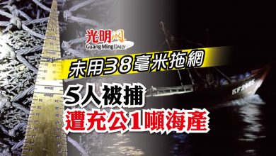 Photo of 未用38毫米拖網 5人被捕遭充公1噸海產