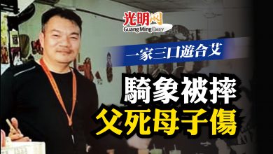 Photo of 一家三口遊合艾 騎象被摔父死母子傷