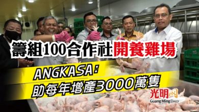 Photo of 籌組100合作社開養雞場 ANGKASA：助每年增產3000萬隻