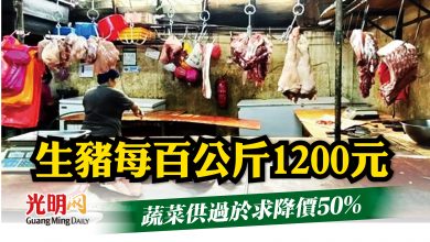 Photo of 生豬漲價至每百公斤1200元  蔬菜供過於求降價50%