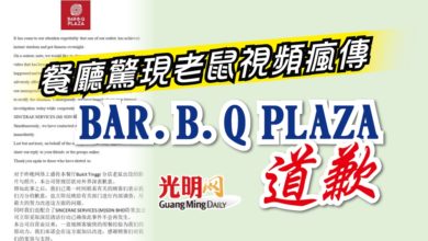 Photo of 餐廳驚現老鼠視頻瘋傳 BAR.B.Q PLAZA道歉