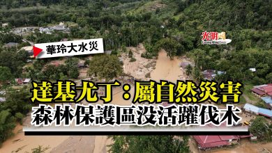 Photo of 【華玲大水災】達基尤丁：屬自然災害  森林保護區沒活躍伐木