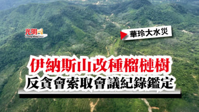 Photo of 伊納斯山改種榴槤樹  反貪會索取會議紀錄鑑定