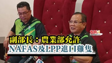 Photo of 副部長：農業部允許  NAFAS及LPP進口雞隻