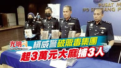 Photo of 檳威警破販毒集團 起3萬元大麻捕3人
