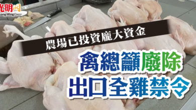 Photo of 農場已投資龐大資金  禽總籲廢除出口全雞禁令
