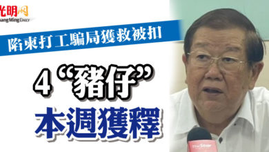Photo of 陷柬打工騙局獲救被扣 4“豬仔”本週獲釋